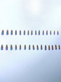 Aurora Chrome Long Almond